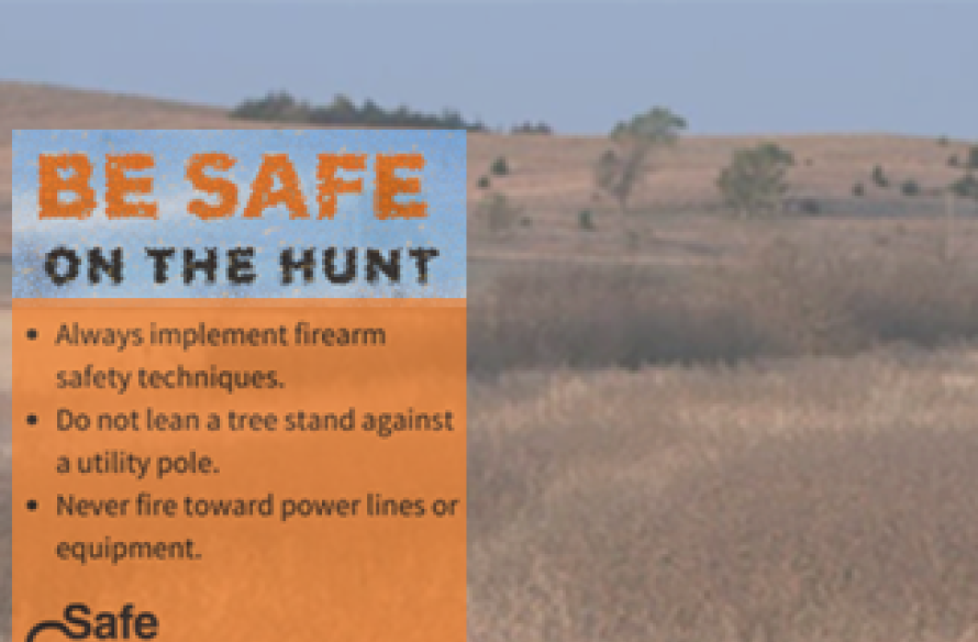 safehunt.png